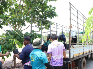 สหกรณ์จังหวัดบึงกาฬ พร้อมด้วยสหกรณ์การเกษตรเมืองบึงกาฬ ... พารามิเตอร์รูปภาพ 19